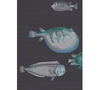 Cole & Son Carta da parati Acquario - Tiefseeblau