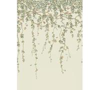 Cole & Son Carta da parati Hummingbirds Flora - Multi/ Old Olive on Eau Du Nil