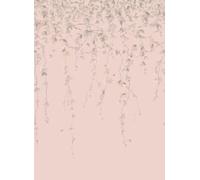 Cole & Son Carta da parati Hummingbirds Flora - Stone on Rose Quartz