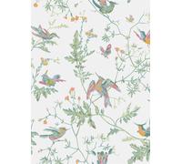Cole & Son Carta da parati Hummingbirds - Pastel