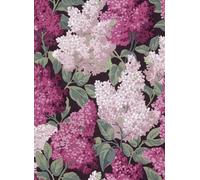 Cole & Son Carta da parati Lilac Grandiflora - Magenta & Blush