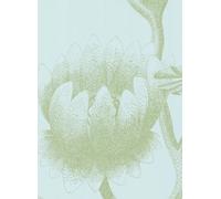 Cole & Son Carta da parati Lily - eisblau/ umbra