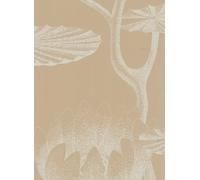 Cole & Son Carta da parati Lily - Sand/ Weiß