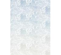 Cole & Son Carta da parati panoramica Nuvole al Tramonto - Dawn