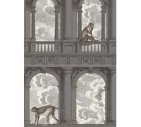 Cole & Son Carta da parati Procuratie con Vista - Soot & Snow