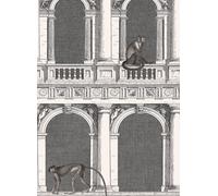 Cole & Son Carta da parati Procuratie e Scimmie - Black and White