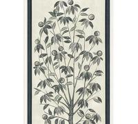Cole & Son Carta da parati Trees of Eden - Lide