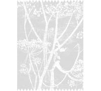 Cole & Son Tessuto Cow Parsley Linen - Soft Grey