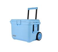 Coleman PRO Ghiacciaie rigido isolato per impieghi gravosi con maniglie | Capacità 24L-52 L | Mantiene il ghiaccio 2-4 giorni | Isolamento completo in schiuma | Grande contenitore ghiaccio portatile