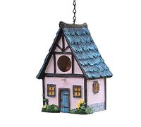 Colibrì Casa in resina - Casetta per uccelli sospesa e impermeabile per uso esterno,Resina decorativa per tordo cardinale uccelli selvatici all'aperto, regali per gli amanti degli uccelli Bseid