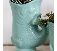 Colibrì Orchidee Bianco Orchidea Phalaenopsis - Amabilis + Pesce Turchese - To