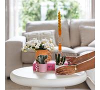 Colibrì Orchidee Bianco Orchidea Phalaenopsis - Nazaré - Topfgröße Ø9cm Bloom