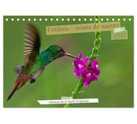 Colibris - éclats de nature (Calendrier de bureau 2027 DIN A5 vertical), CALVENDO calendrier mensuel: Joyaux de la forêt tropicale