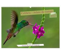 Colibris - éclats de nature (Calendrier mural 2027 DIN A2 vertical), CALVENDO calendrier mensuel: Joyaux de la forêt tropicale