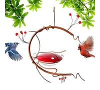 Colibris Mangiare, Mangiare Fuori Per L'esterno | Il ribes rosso è l'uva esterna dagli uccelli all'aperto e test delle | Food Testing Station
