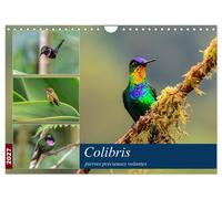 Colibris - pierres précieuses volantes (Calendrier mural 2027 DIN A4 vertical),