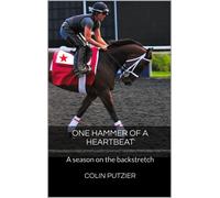 Colin Putzier One Hammer Of A Heartbeat (Tascabile) Life on the Backstretch