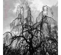 Colin Stetson and Sarah Neufeld Never Were the Way She Was (CD) Album