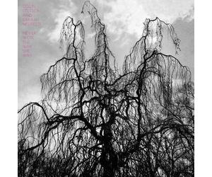 Colin Stetson And Sarah Neufeld - Never Were The Way She Was (LP)