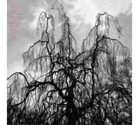 Colin Stetson and Sarah Neufeld Never Were the Way She Was (Vinyl LP) 12" Album