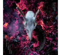 Colin Stetson The Love It Took to Leave You (Vinyl LP)