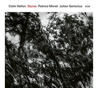 Colin Vallon Trio Danse (Vinyl LP) 12" Album