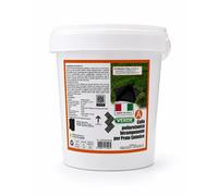 Colla poliuretanica bicomponente per prato sintetico 5 kg