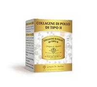 COLLAGENE DI POLLO DI TIPO II Polvere - 100 g