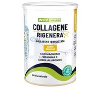 Collagene Rigenera in Polvere 333g