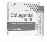 Collagenial 5000 Aqua Viva 10 fiale da 25ml