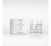 Collagenil Re-Pulp 3D