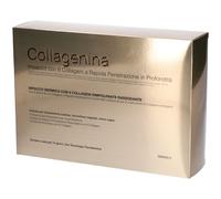 Collagenina Impacco 6 Collageni Grado 2 1 pz Altro