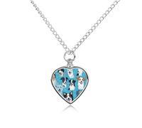 Collana commemorativa con ciondolo a forma di cuore per ceneri di cani da compagnia