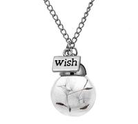 Collana con Bottiglia di Vetro Ciondolo a Catena Lunga con Fiori secchi di tarassaco Esprimi Un Desiderio Regalo di Gioielli per Ragazze da Festa Bijoux Classico Useful