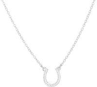 Collana con ciondolo a ferro di cavallo in argento portafortuna semplice in acciaio inossidabile Collana squisita a forma di U Dategli il regalo giusto Trattamento molto attraente