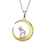 Collana con ciondolo a forma di coniglietto sulla luna, ipoallergenica, delicata e piccola mezzaluna da 45.7 cm con colletto a catena delicato con animali in scatola regalo per figlia