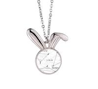 Collana con ciondolo a forma di coniglio con formula matematica ad angolo grigio, idea regalo