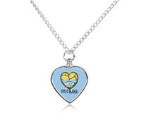 Collana con ciondolo a forma di cuore per ceneri di pallanuoto, per la cremazione degli animali domestici