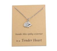 Collana con ciondolo a forma di riccio, per amanti dei ricci, idea regalo per donne, Acciaio inossidabile