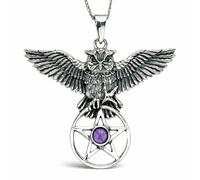 Collana con ciondolo ametista pentacolo gufo volante gemma argento 925...
