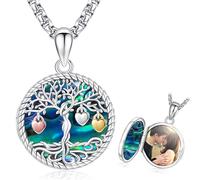 Collana con Ciondolo Portafoto Argento 925 Medaglione Portafoto Albero Della Vita Medaglione con Foto Dentro Donna Collana con Foto Personalizzata Regali di Gioielli per Donne