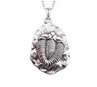 Collana con fossile di trilobite in argento sterling 925. Piccola |LK_NLC_03096