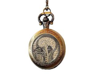 Collana con orologio da tasca con anatomia del cervello, gioiello anatomico per il cervello, gioiello per studenti e insegnanti di neuroscienze
