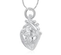 Collana con urna a forma di cuore anatomica 3D per ceneri, per donne e uomini, ciondolo commemorativo per i propri cari portaceneri, Acciaio inossidabile, Nessuna pietra preziosa