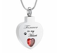 Collana con urna a forma di cuore di cristallo per cenere, per donne Birthstone Rentazione gioielli medaglione in acciaio inox Memorial Keepsake - per sempre nel mio cuore, Acciaio inossidabile