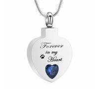 Collana con urna a forma di cuore di cristallo per cenere, per donne Birthstone Rentazione gioielli medaglione in acciaio inox Memorial Keepsake - per sempre nel mio cuore, Acciaio inossidabile