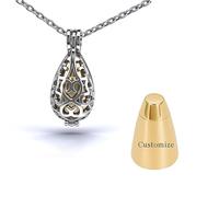 Collana con urna a goccia, gioiello per ceneri con mini custodia, collana con ciondolo per donne e uomini, regalo commemorativo per animali domestici, Unisex, Acciaio inossidabile, Nessuna pietra