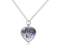 Collana con urna personalizzata Border Collie in esecuzione per ceneri di animali domestici carino ciondolo commemorativo gioielli regali per cane gatto