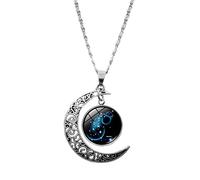 Collana Corrispondente per Coppie Regali Di Compleanno Mezza Ciondolo Luna Gioielli Regali Di Compleanno Per Le Donne Dodici Per Le Donne Di Segni Della Collana Di Ghiande (B, One Size)