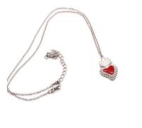 Collana corta Cuore Sacro oro. in Acciaio Inox con Zirconcini (Argento)
